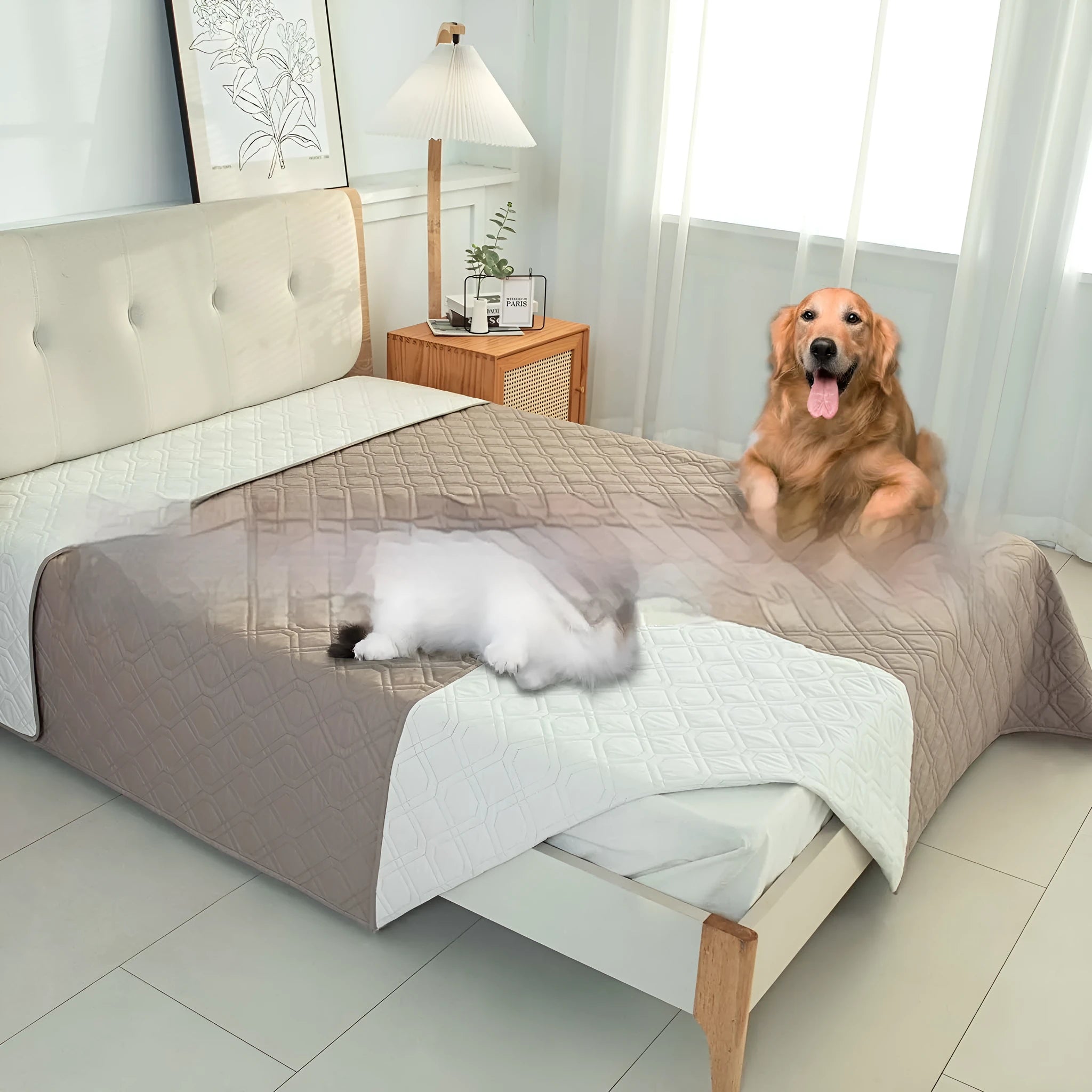 Reversible waterproof dog sofa cushion in dark grey and light grey contrast colours on a sofa.