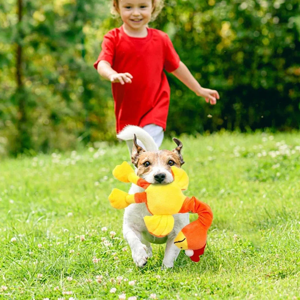 Screaming chicken sound dog chew toy in green colour, shown with bite marks, 19cm long.