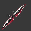 Large Shark graphic car body sticker shown on a vehicle, available in two height options.