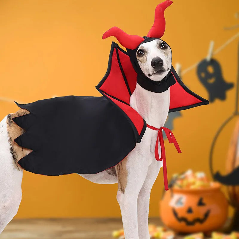 Black polyester vampire cloak and hat Halloween costume for small to medium pets