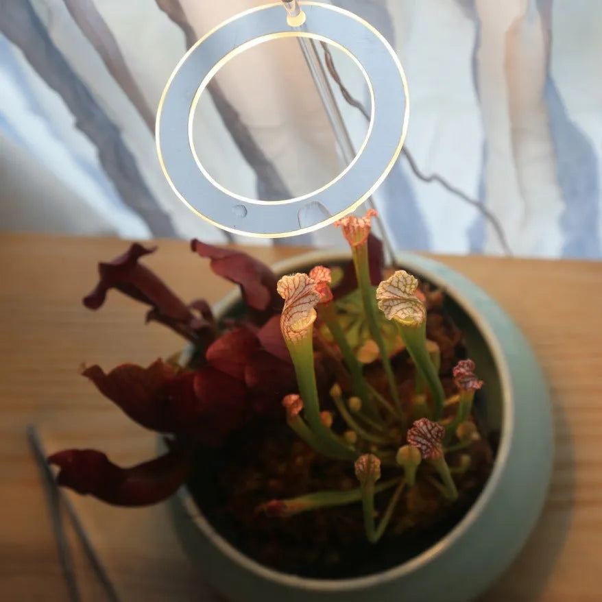 USB-powered LED plant grow light with acrylic stick in pink/white or yellow.