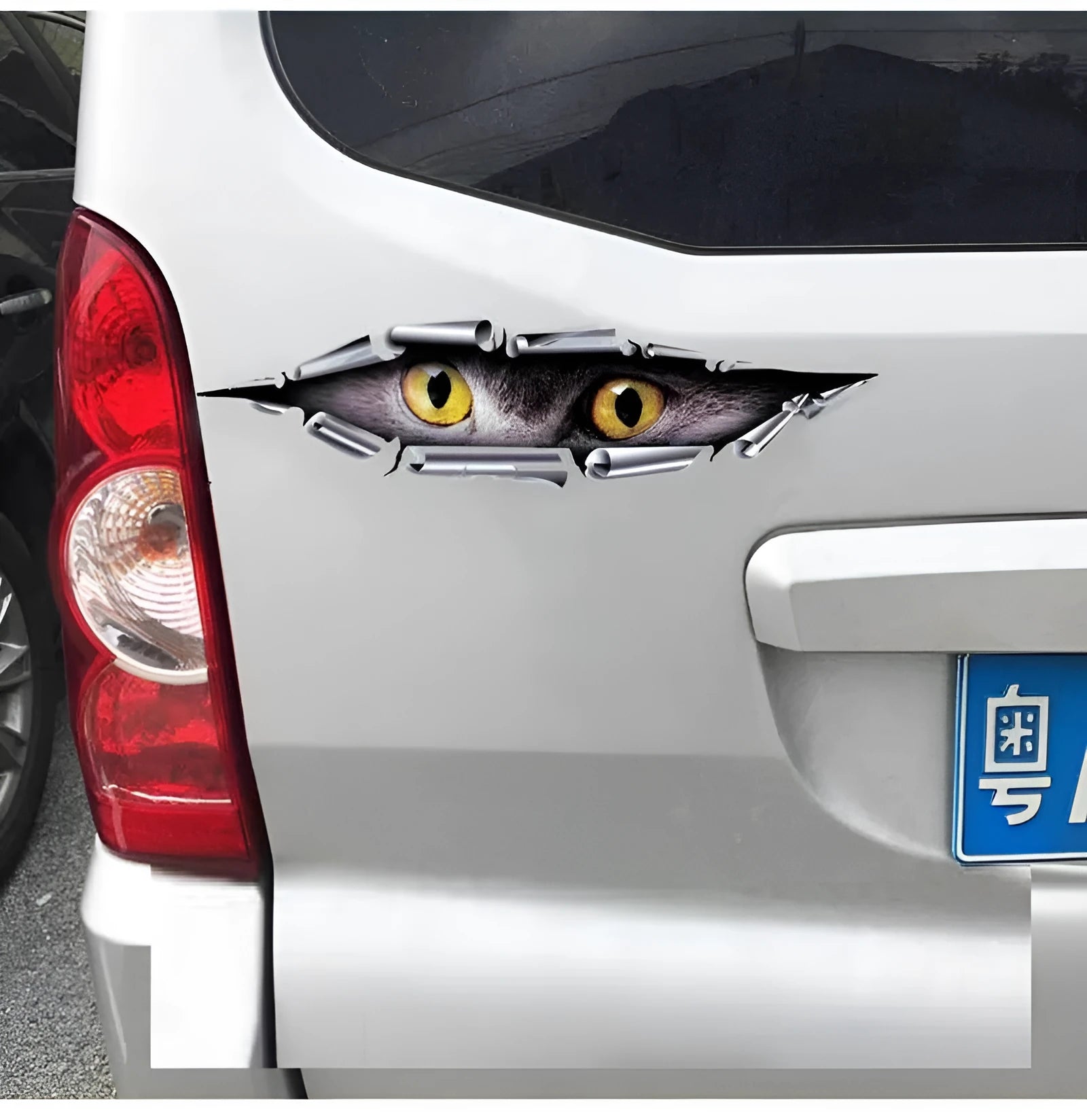 3D tiger eye or eagle eye pattern car sticker on vehicle door
