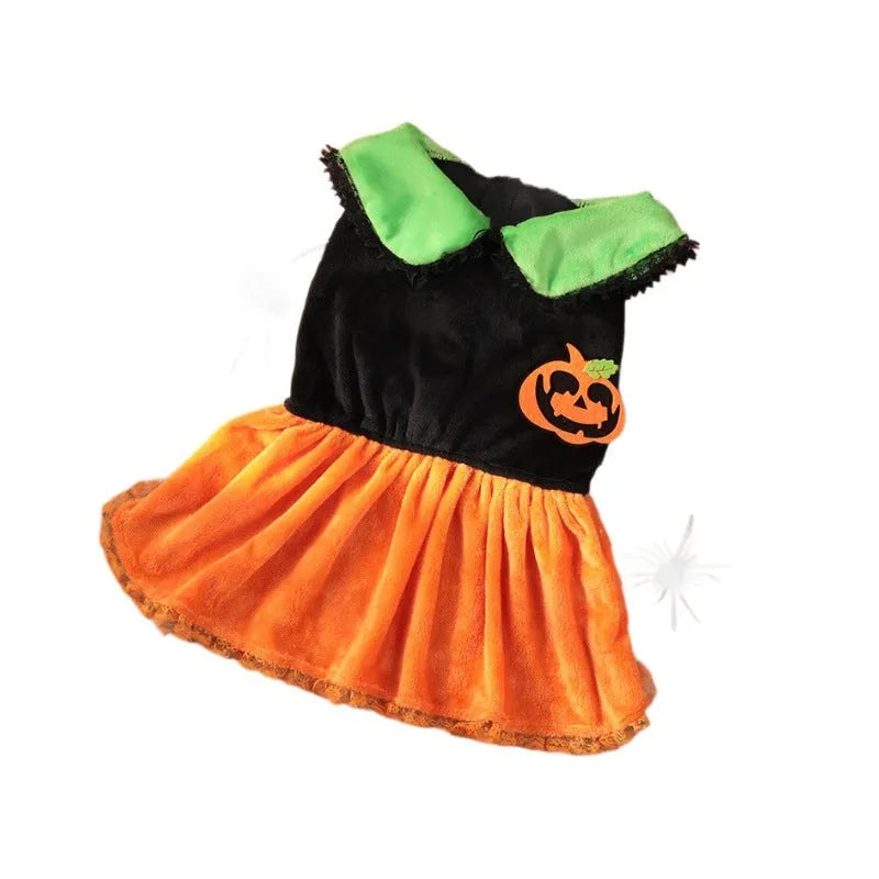 Small dog wearing a Crystal Velvet Halloween pumpkin skirt costume.