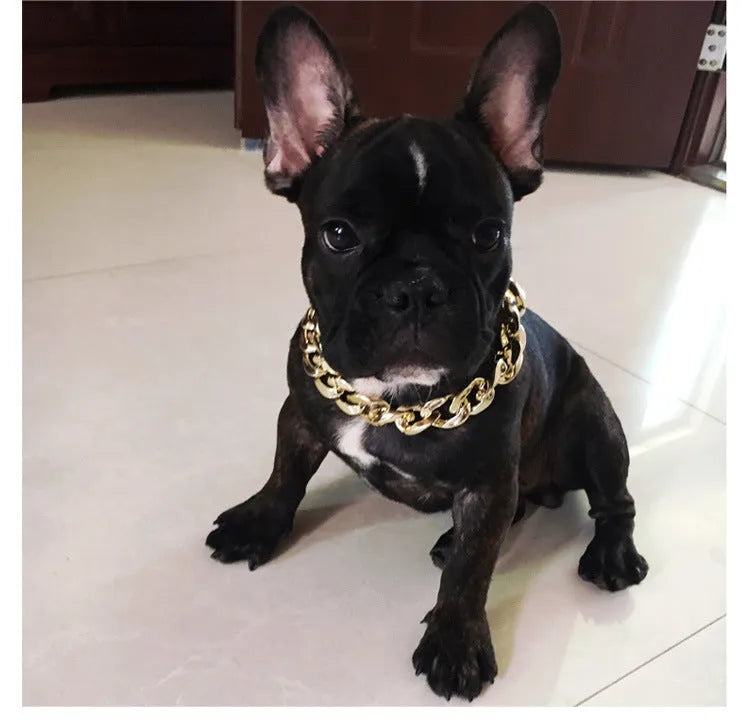 Gold chain buckle dog collar for small to medium pets with adjustable 21-50cm circumference