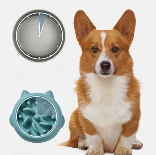 Green bone-shaped slow feeder bowl for dogs with raised maze pattern inside