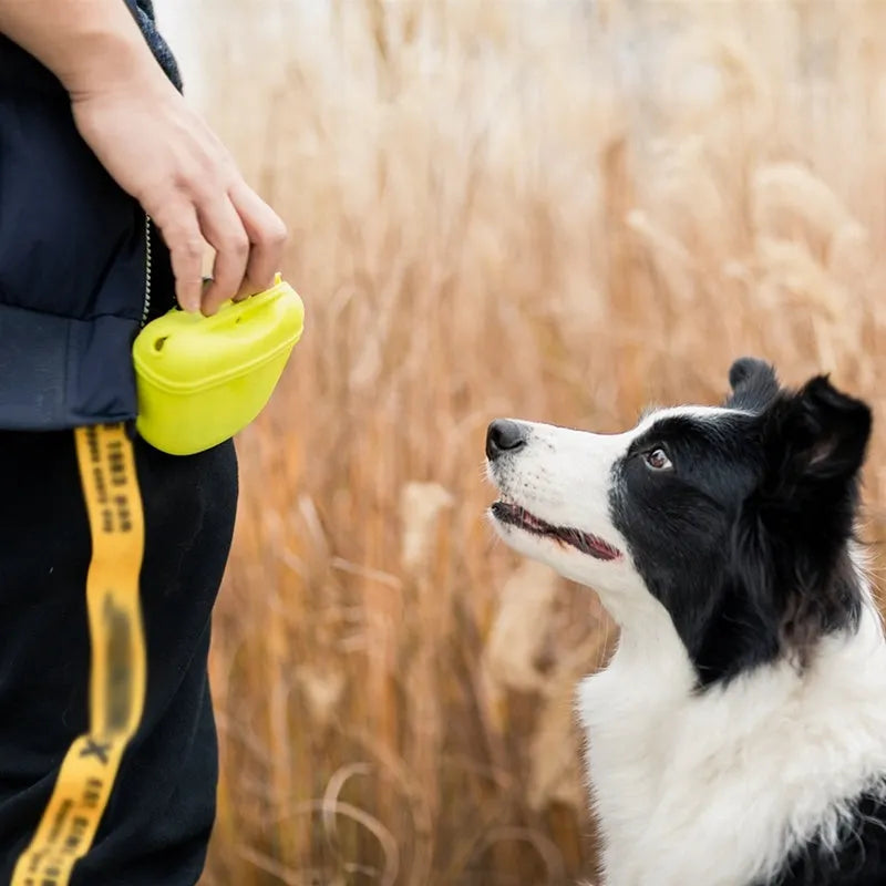 Silicone dog treat training waist bag with clip and magnetic closure in assorted colours