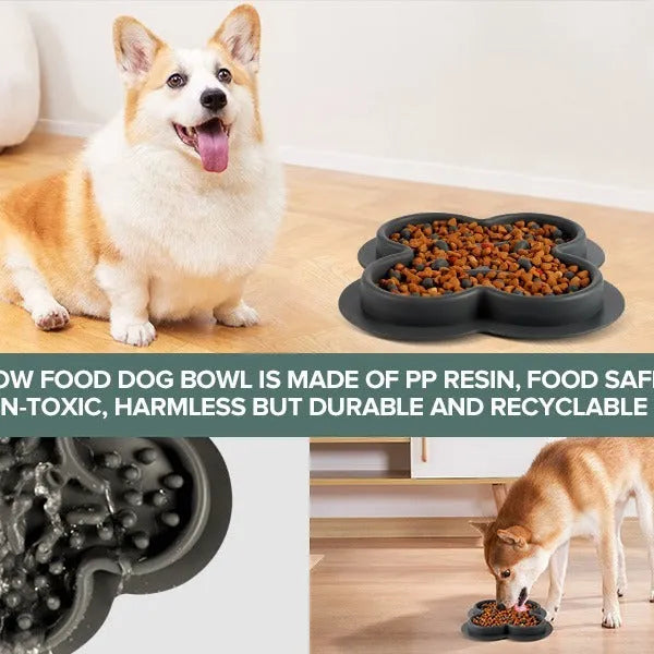 Rectangular silicone pet licking pad with textured surface, shown in colour options.