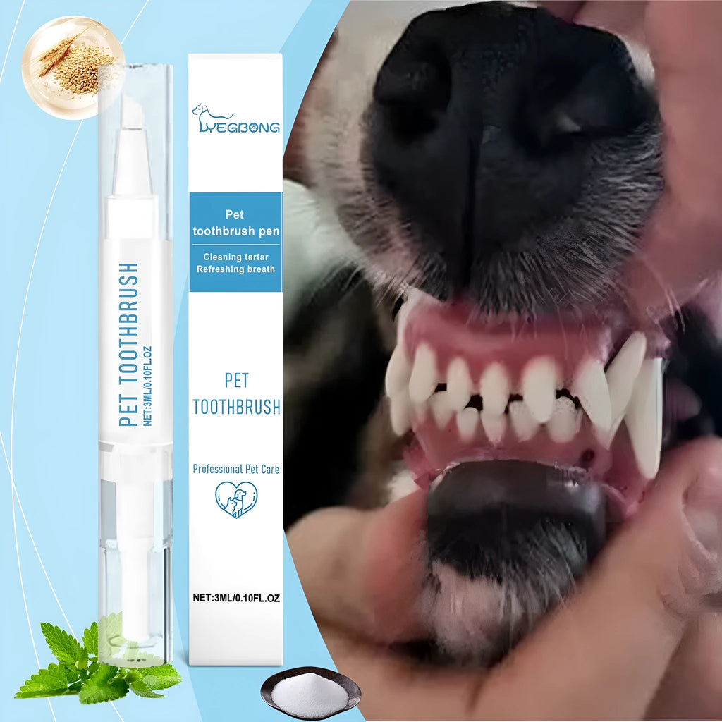 A white pet toothbrush pen with a soft bristle head and an included tube of pet toothpaste.