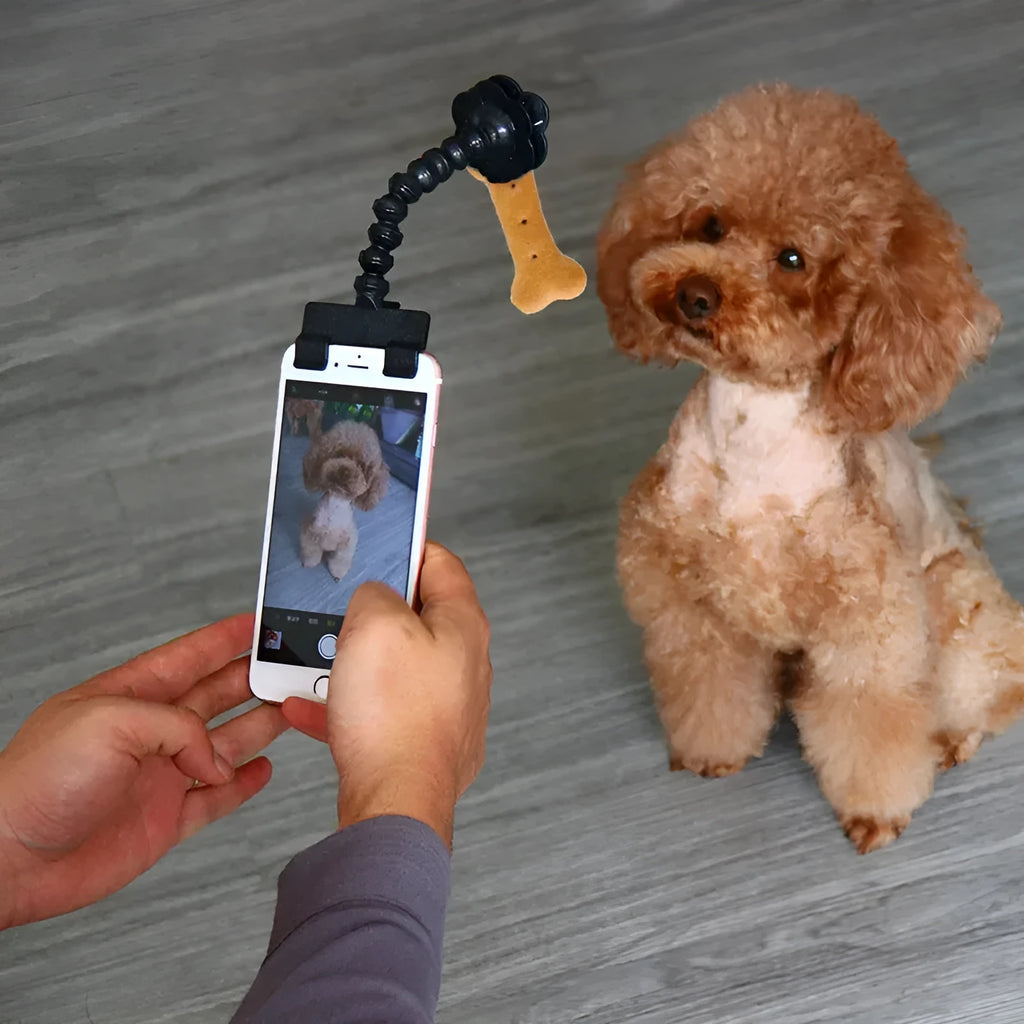 Black pet photography tool with a clip for holding treats and a phone holder on a rotating support