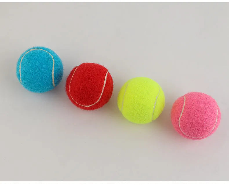 Bite-resistant rubber dog tennis ball in 6.3cm size showing bright colour options