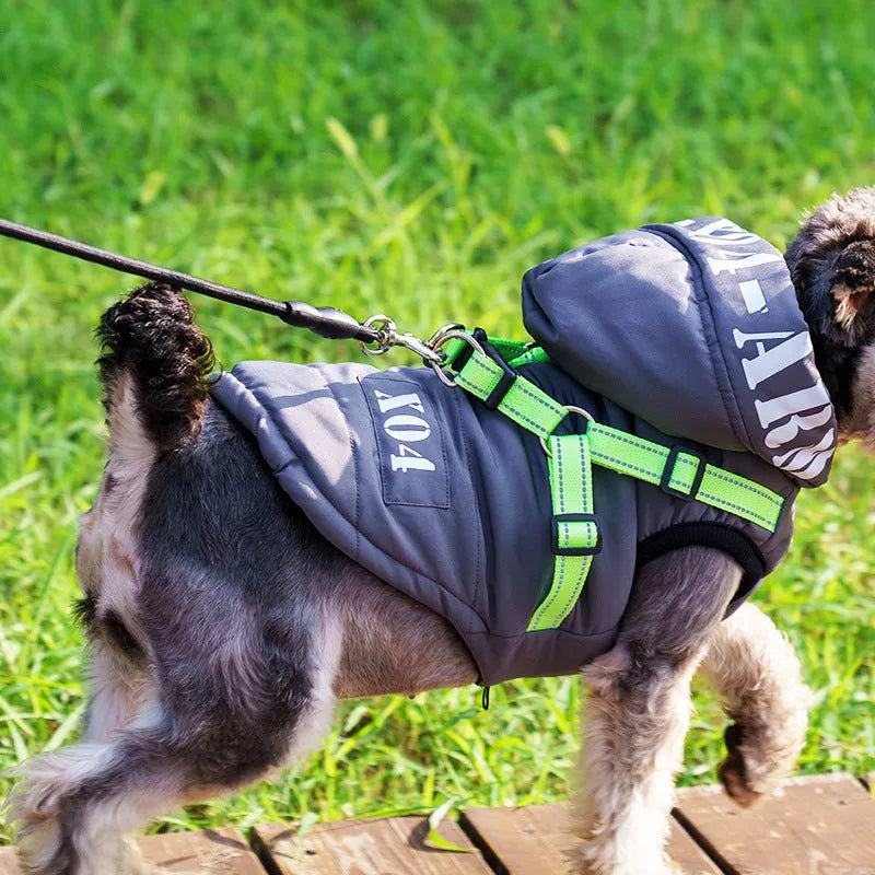 Red waterproof fleece-lined hooded winter jacket for a dog on a size guide.