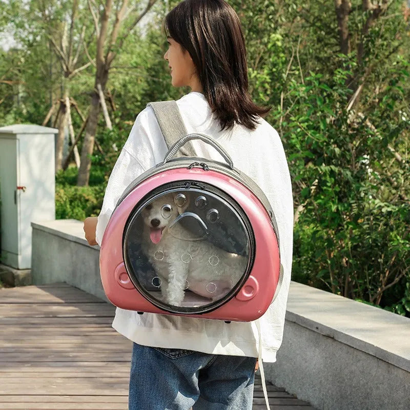 Transparent space capsule cat diaper bag in PC canvas with rose gold finish for cats up to 12 Jin