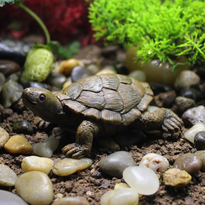 Small resin simulation turtle ornament for miniature garden and terrarium decoration.