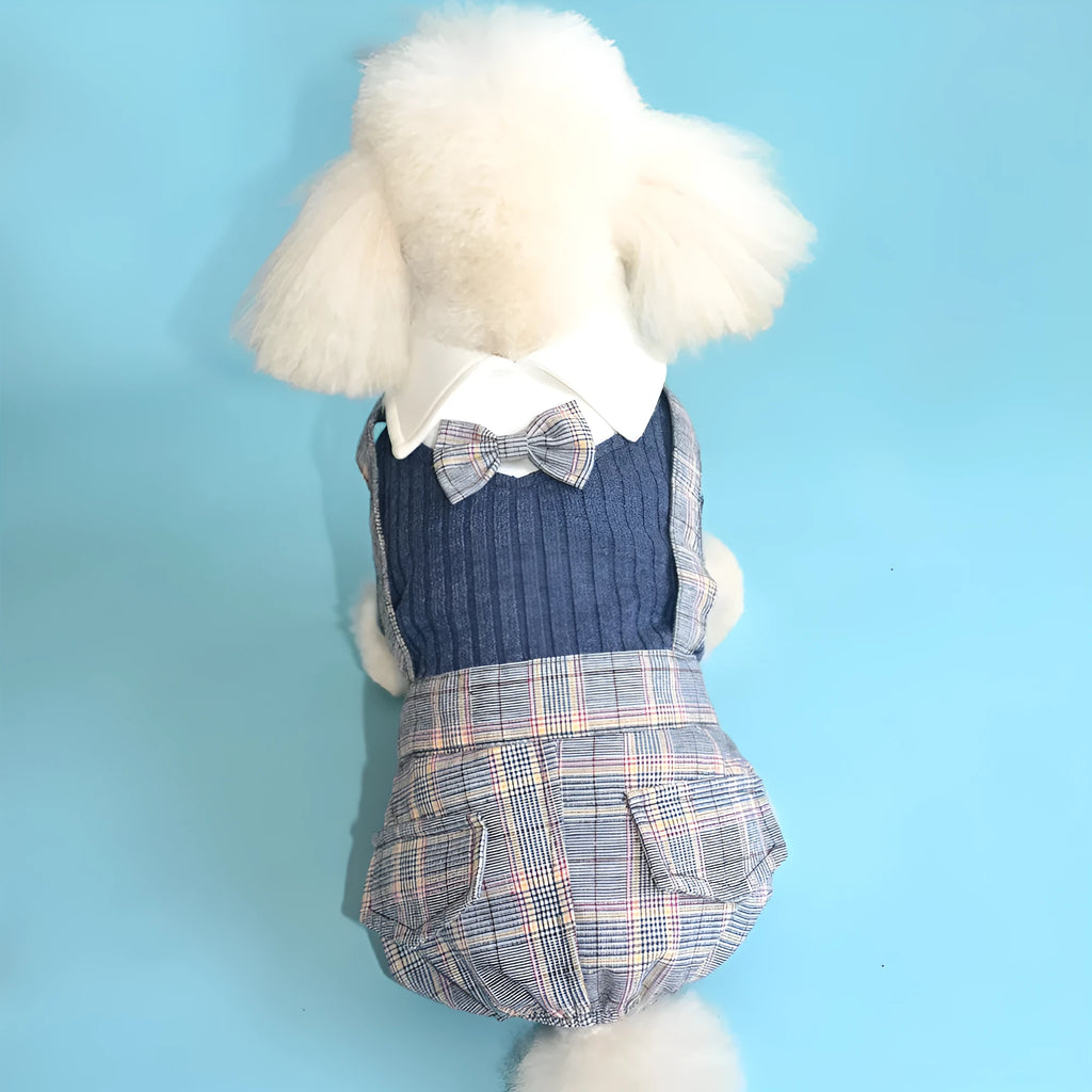 Orange and dark blue cotton dog shirt for small breed dogs in sizes S to 2XL