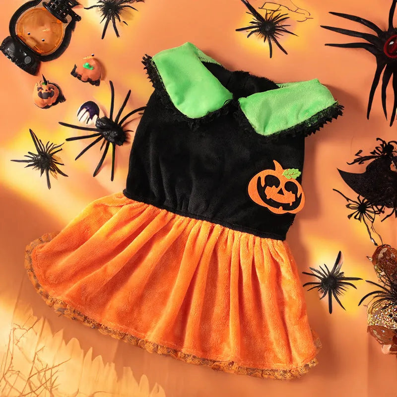 Small dog wearing a Crystal Velvet Halloween pumpkin skirt costume.