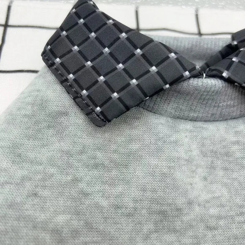 Grey dog wearing two-piece sweater with detachable collar in polyester velvet material