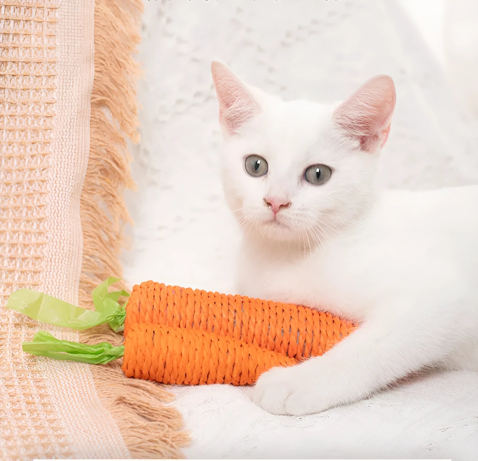 Assortment of interactive cat toys including carrot bites, paper toys, ringing stones, sticks, and grinding toys