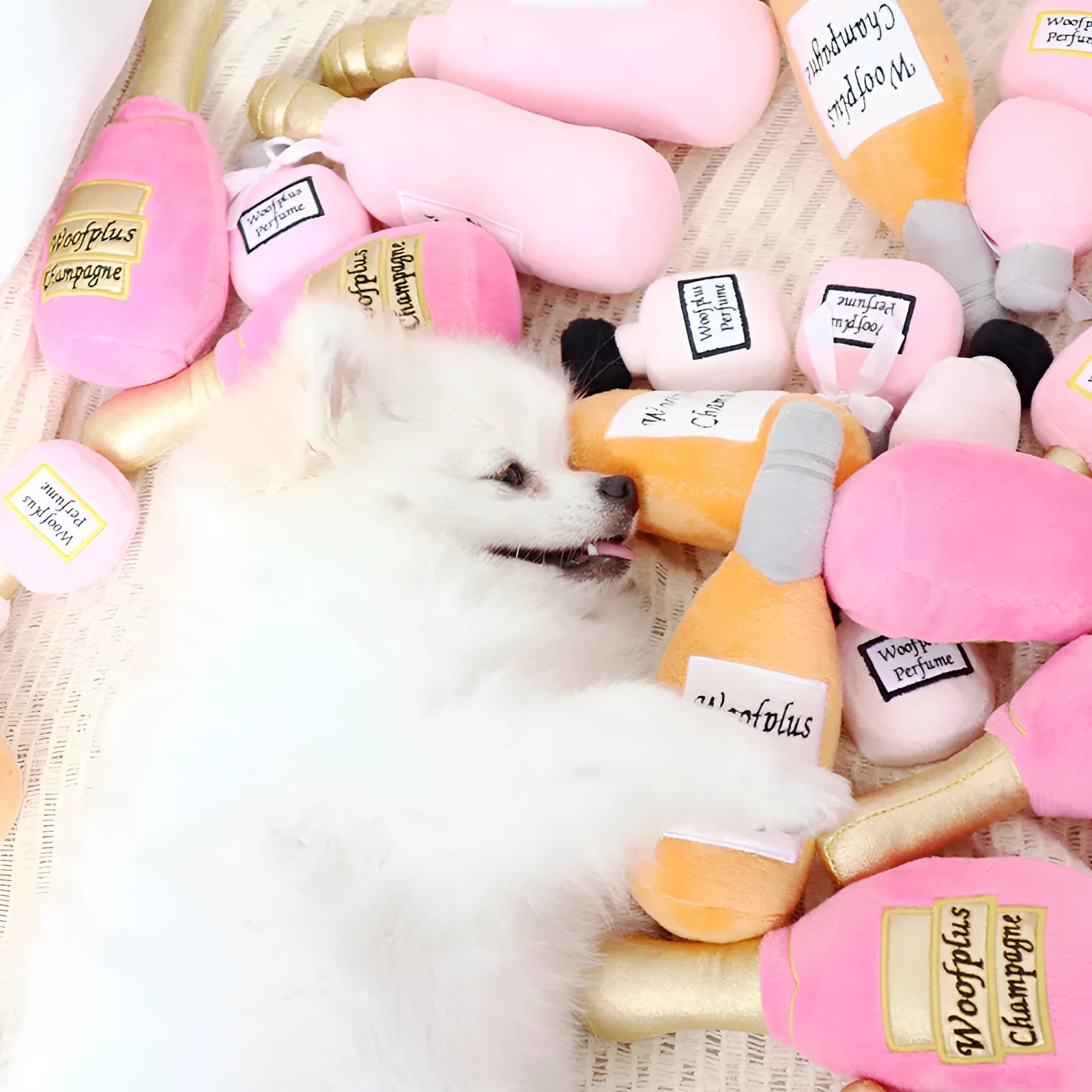 Soft plush wine bottle pet toy for cats and dogs in multiple colours.