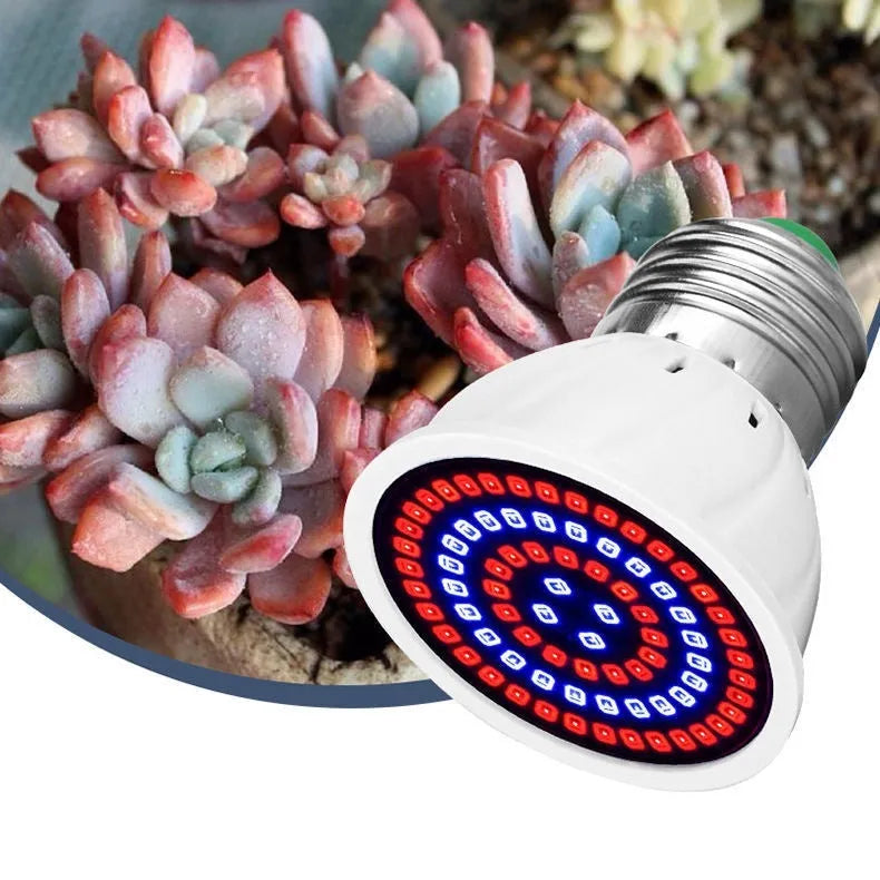 White LED plant growth lamp with 80 beads for indoor plants covering 30-80 cm² area