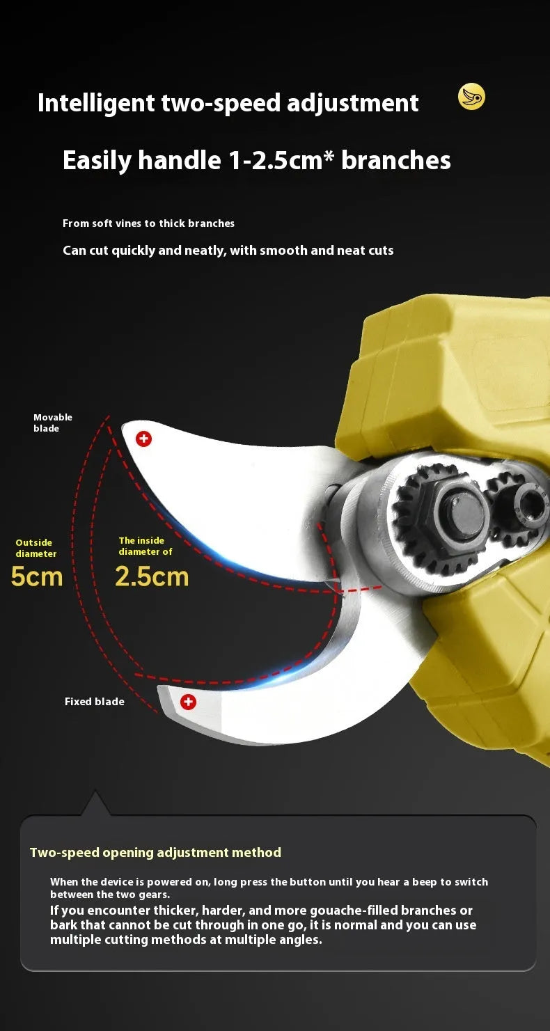 Cordless electric pruning shears with two lithium batteries and charger in a plastic storage case.