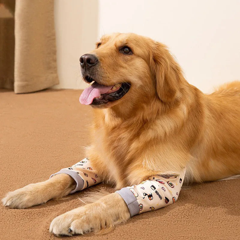 Blue dog knee protector pad with adjustable straps and matching scarf on medium dog