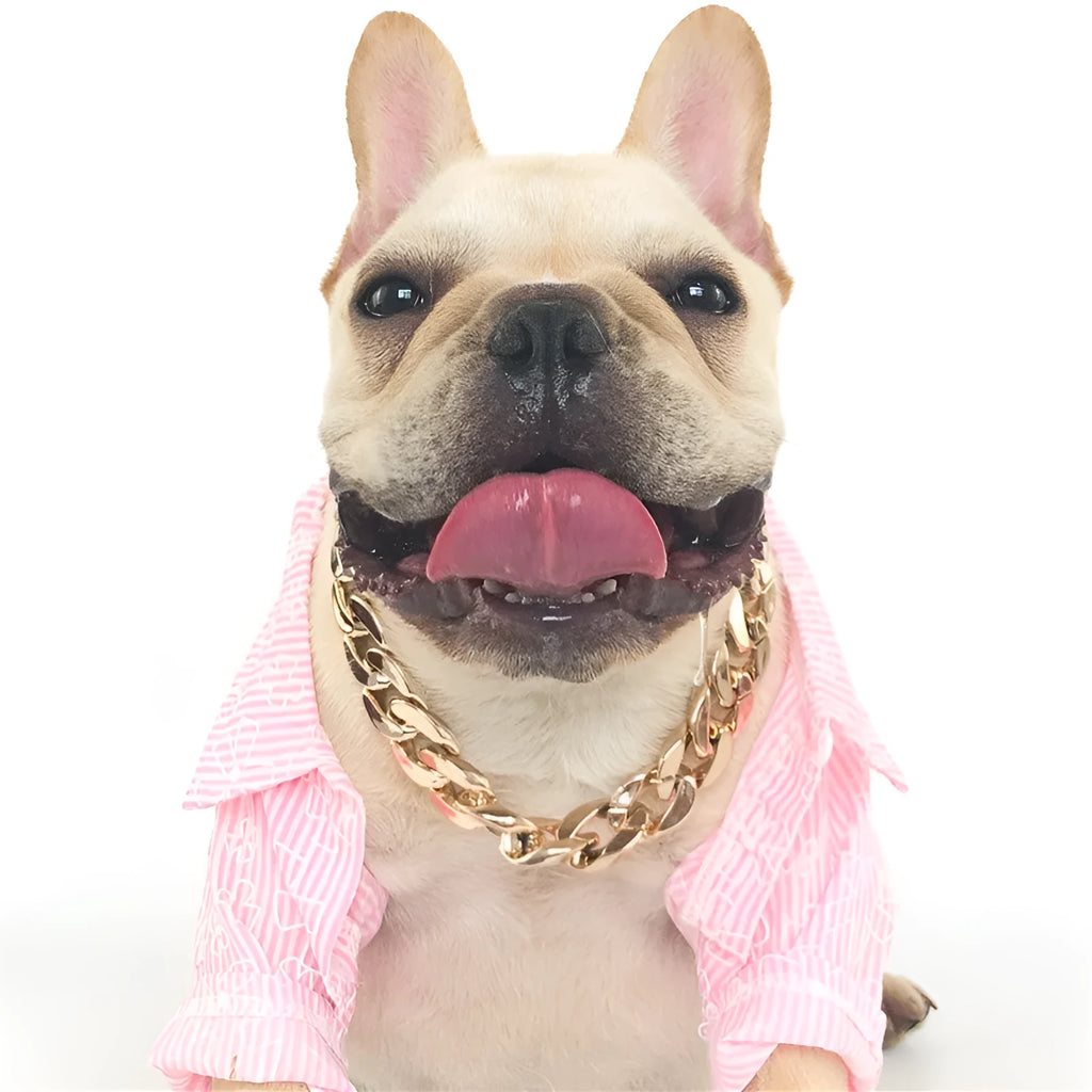 Gold chain buckle dog collar for small to medium pets with adjustable 21-50cm circumference