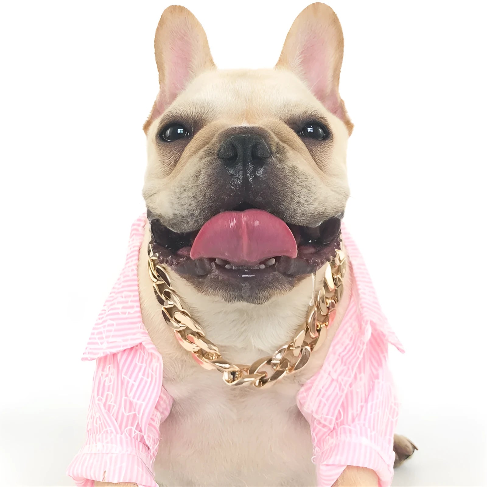 Gold chain buckle dog collar for small to medium pets with adjustable 21-50cm circumference