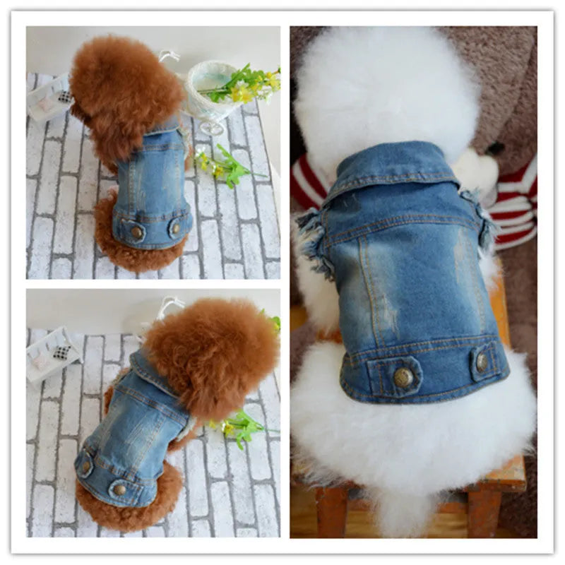 Small dog wearing a denim vest with a retro scratch pattern in a light wash colour.