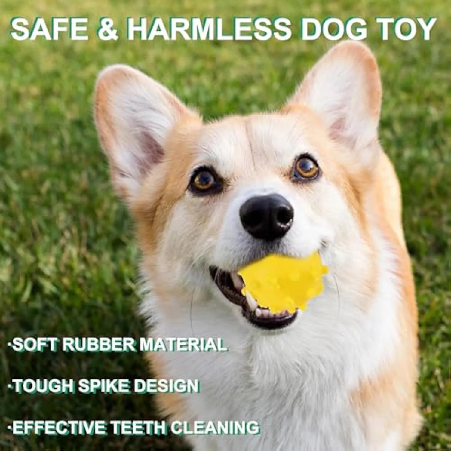 Bright coloured squeaky dog ball with paw print texture for small breed puppies