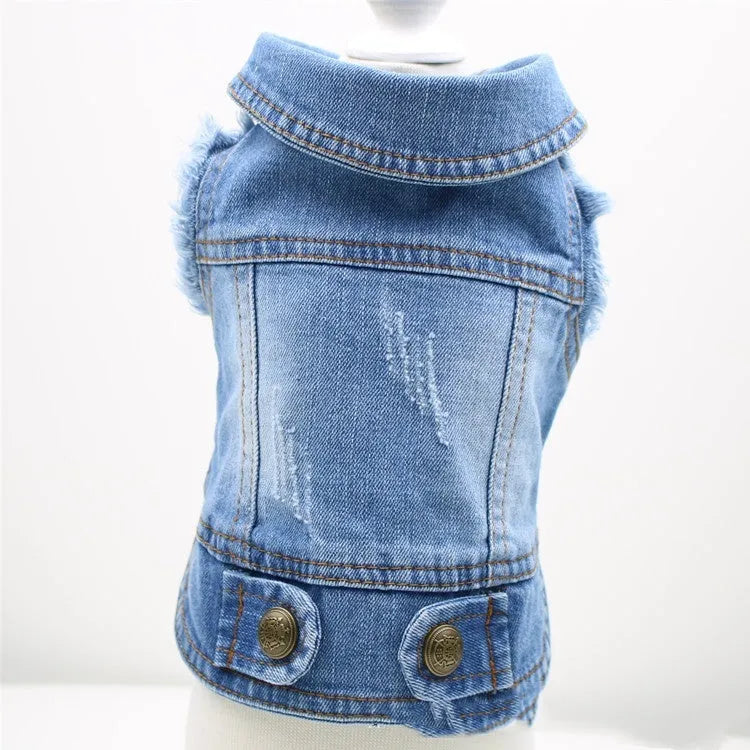 Small dog wearing a denim vest with a retro scratch pattern in a light wash colour.
