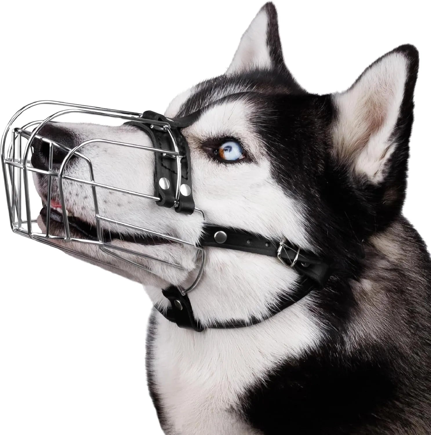Black metal wire mesh dog muzzle designed for golden retrievers and German shepherds.