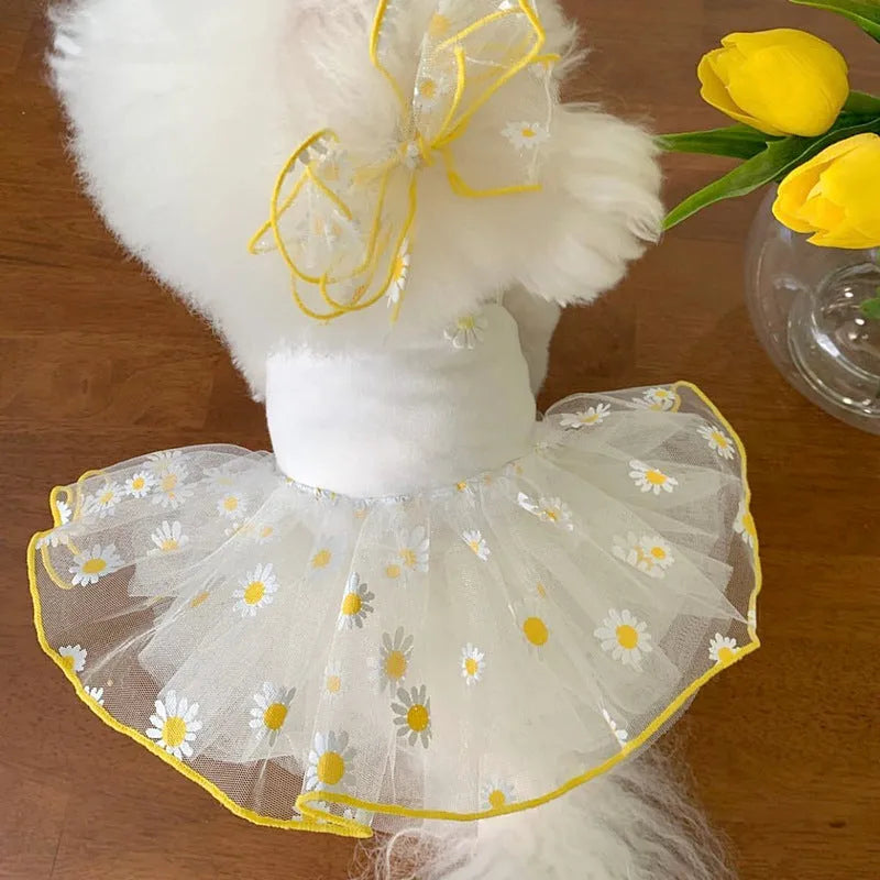 Yellow little daisy patterned dog summer clothes in thin polyester fabric