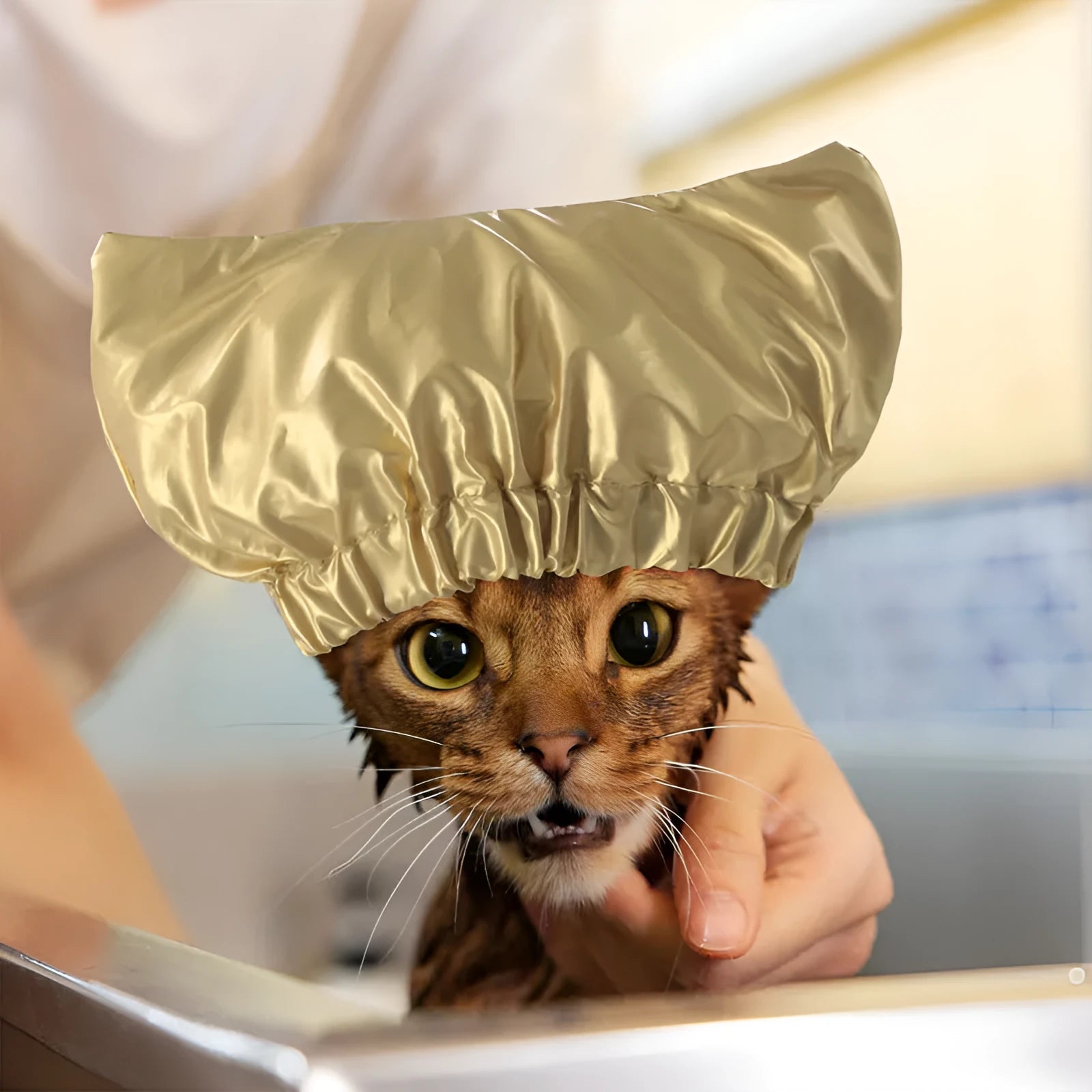 Adjustable waterproof shower cap for pets in silver, pink, or gold, shown in small and medium sizes.