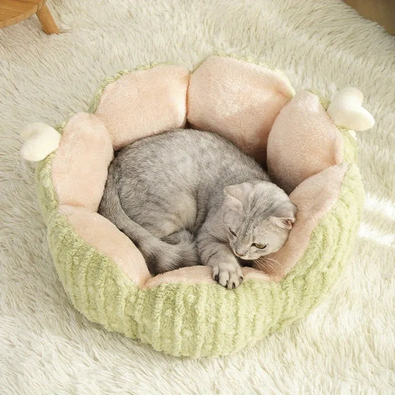 Soft cactus-themed cat litter kennel in purple or green colour, large and small sizes
