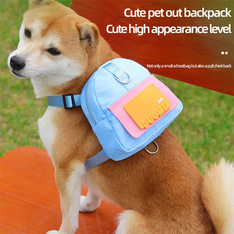 Blue adjustable dog backpack harness with breathable mesh and detachable tow rope on medium-sized dog