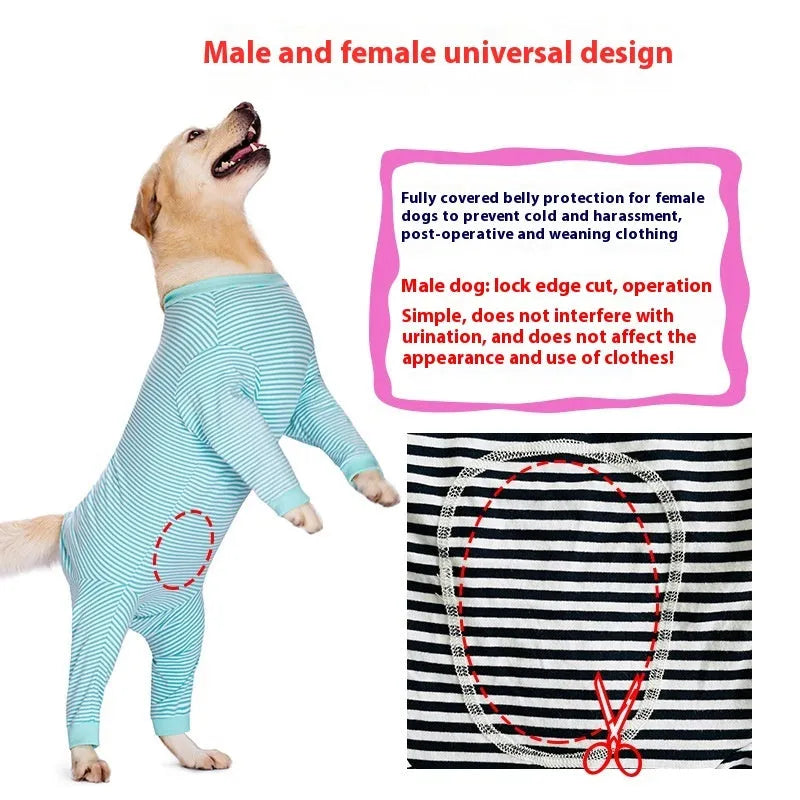 Four-legged striped dog shirt on Golden Retriever showing thin polyester construction and full-body coverage