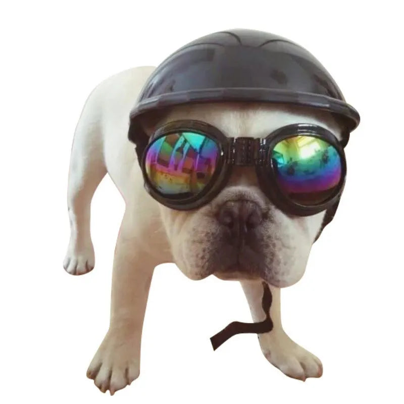 A solid colour plastic motorcycle-style helmet for a dog, shown in one of seven available colours.