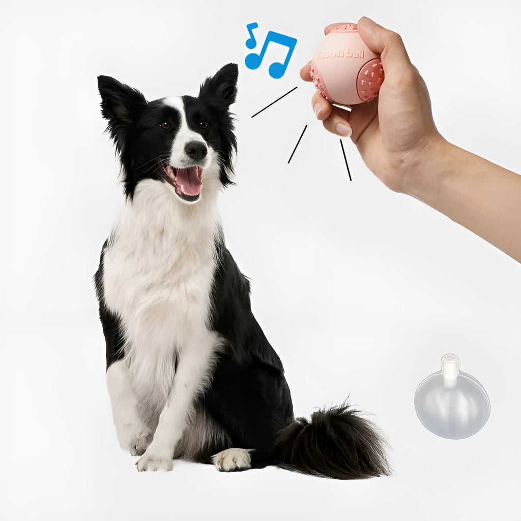Green rolling ball dog toy for small medium dogs showing 64mm diameter scale