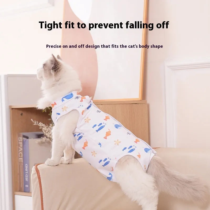 A cat wearing a blue polyester recovery bodysuit with Velcro closures after sterilisation surgery.