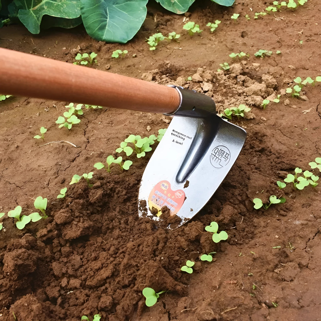 Agricultural flat hoe with pointed steel horse tip for garden weeding
