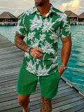 Men's 3D printed Hawaii pattern short sleeve top and matching shorts casual set