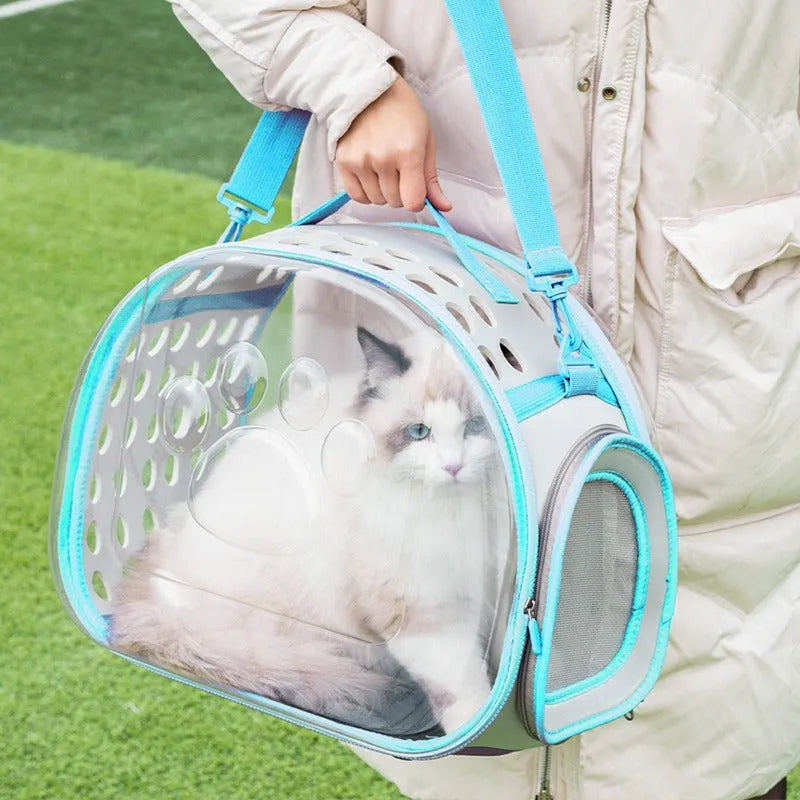 Transparent hard EVA cat backpack in large 42x28x35cm size with foldable design