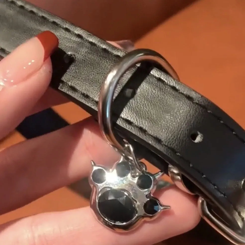 Black adjustable dog collar with regular chain showing cat paw, bone, and leather design options