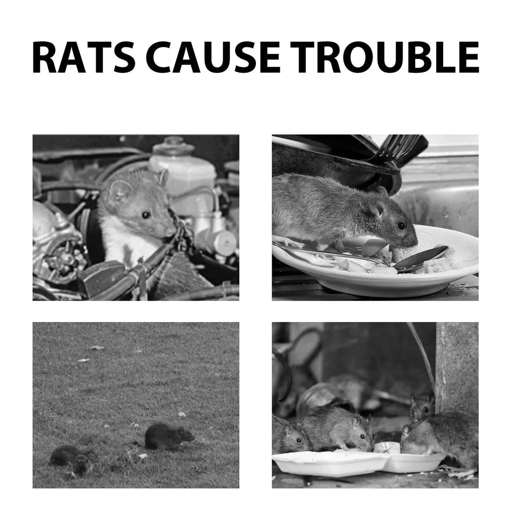 60ml rat repellent spray bottle with natural oil formulation for home and vehicle use