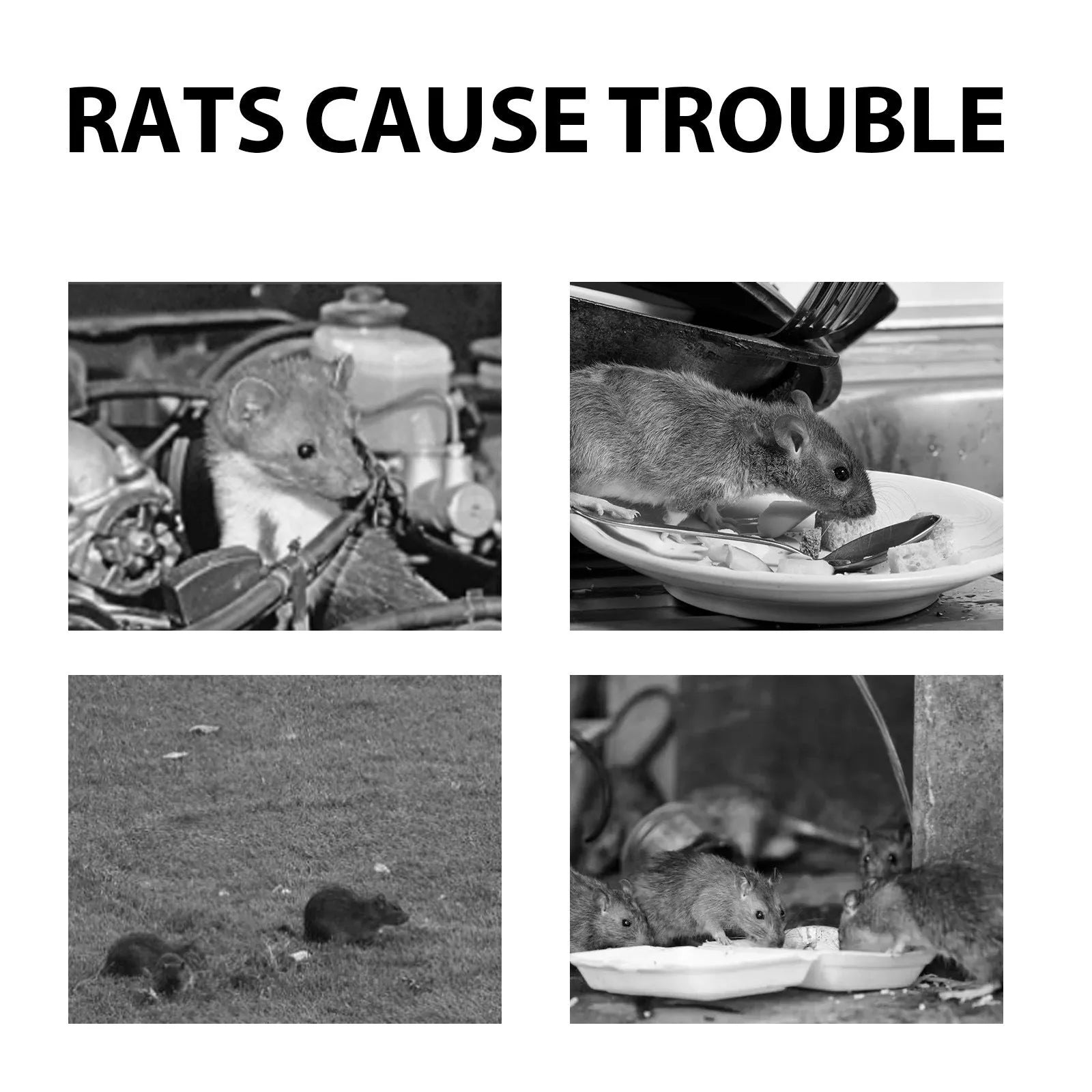 60ml rat repellent spray bottle with natural oil formulation for home and vehicle use