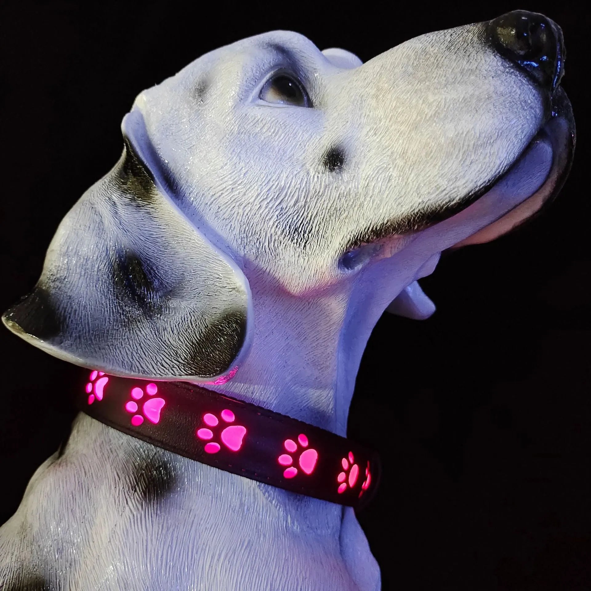 Creative LED dog collar with paw print pattern showing seven colour modes