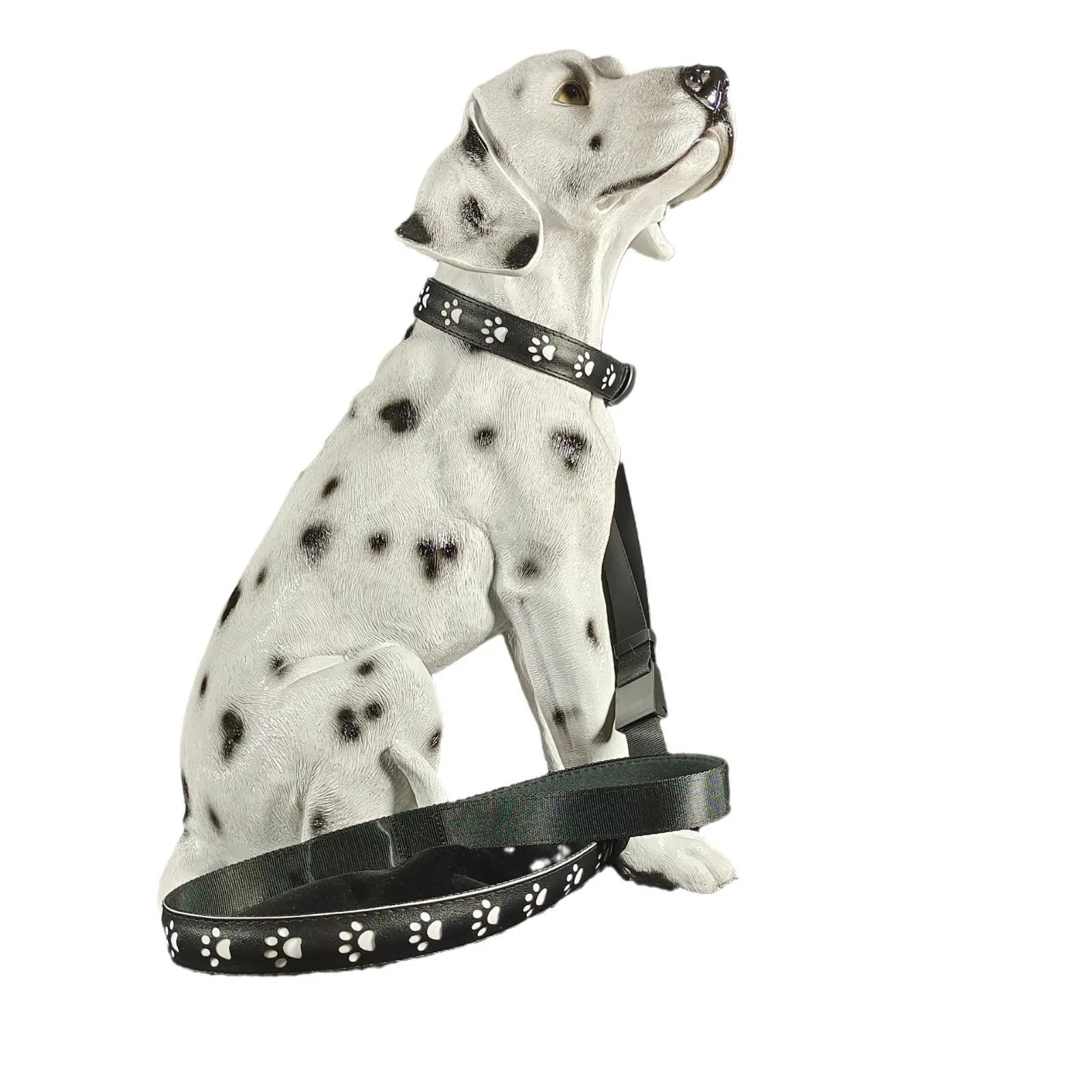 Creative LED dog collar with paw print pattern showing seven colour modes