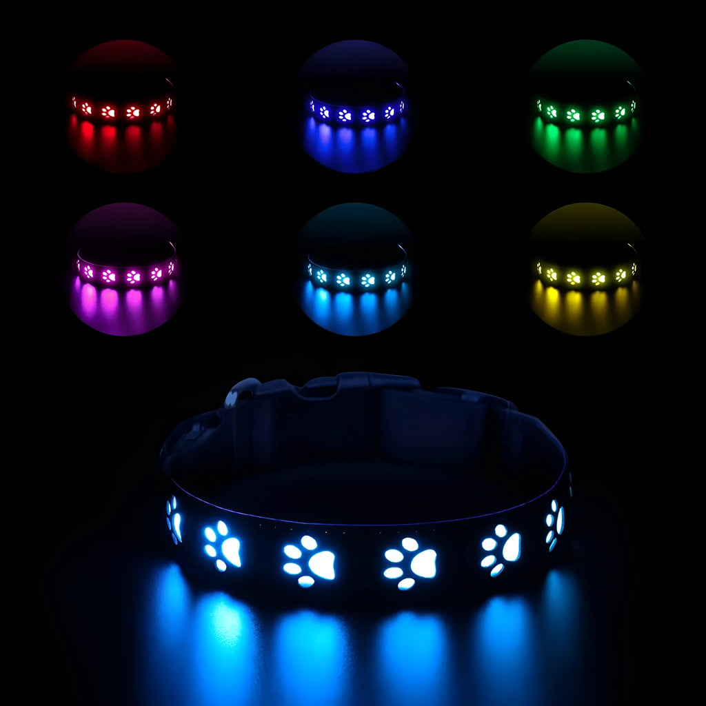 Creative LED dog collar with paw print pattern showing seven colour modes