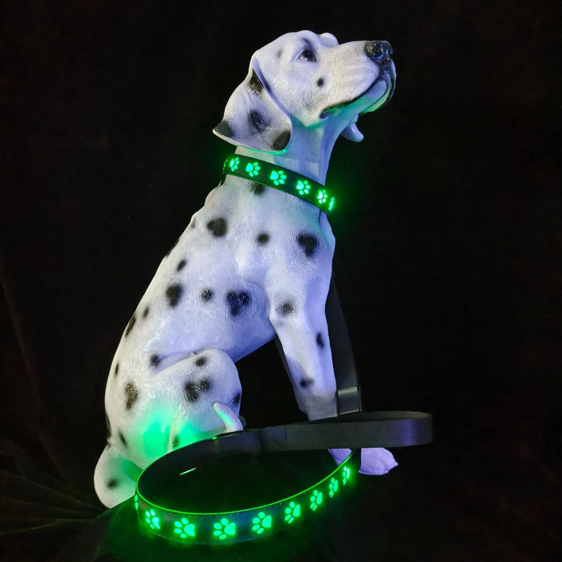 Creative LED dog collar with paw print pattern showing seven colour modes