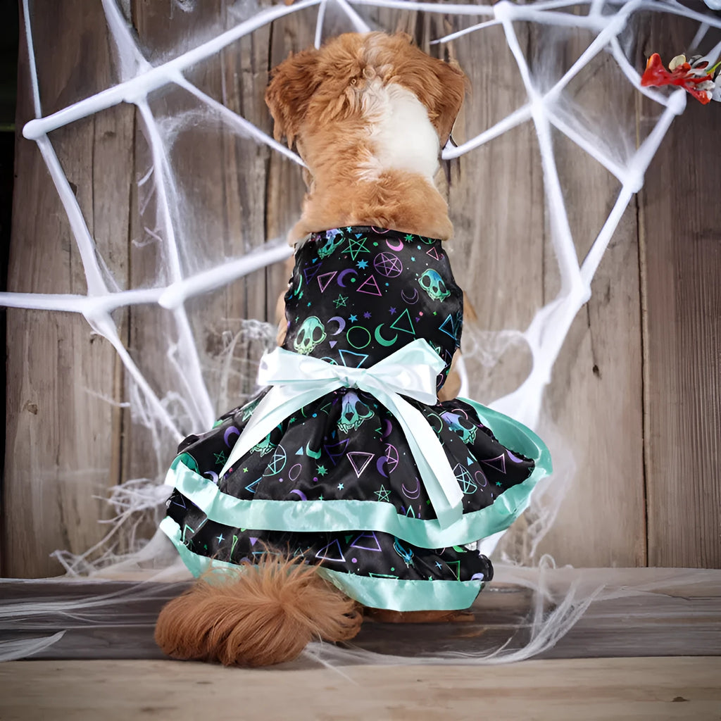 Double-layer Halloween dog skirt with colourful pumpkin print in size M on mannequin